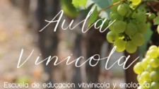 Desarrollo web aulavinicola.com, por Érica Aguado